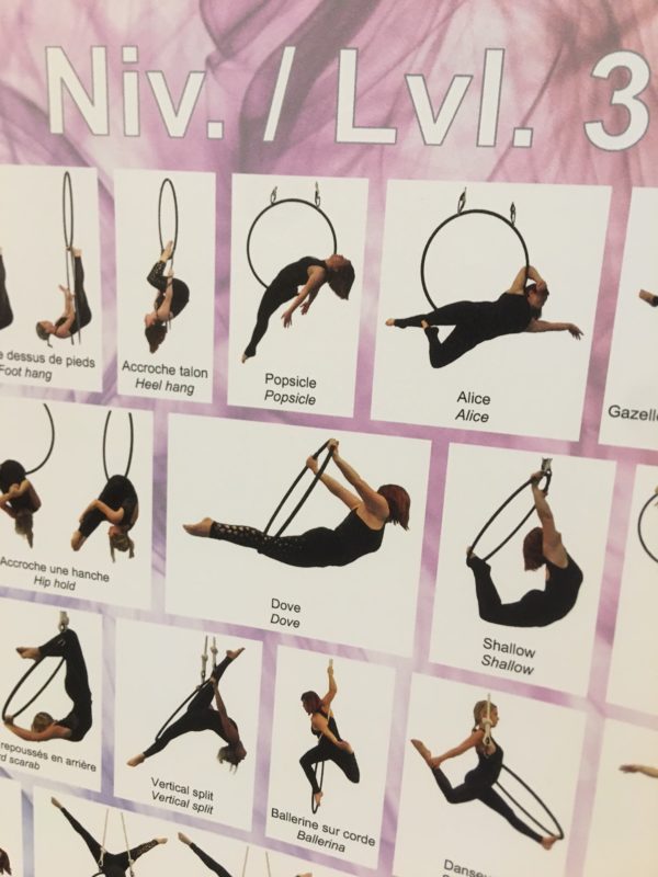 Pack of 2 posters Aerial Hoop tricks