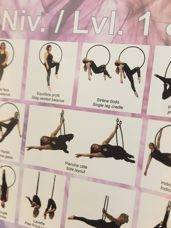 Pack of 2 posters Aerial Hoop tricks - Image 2